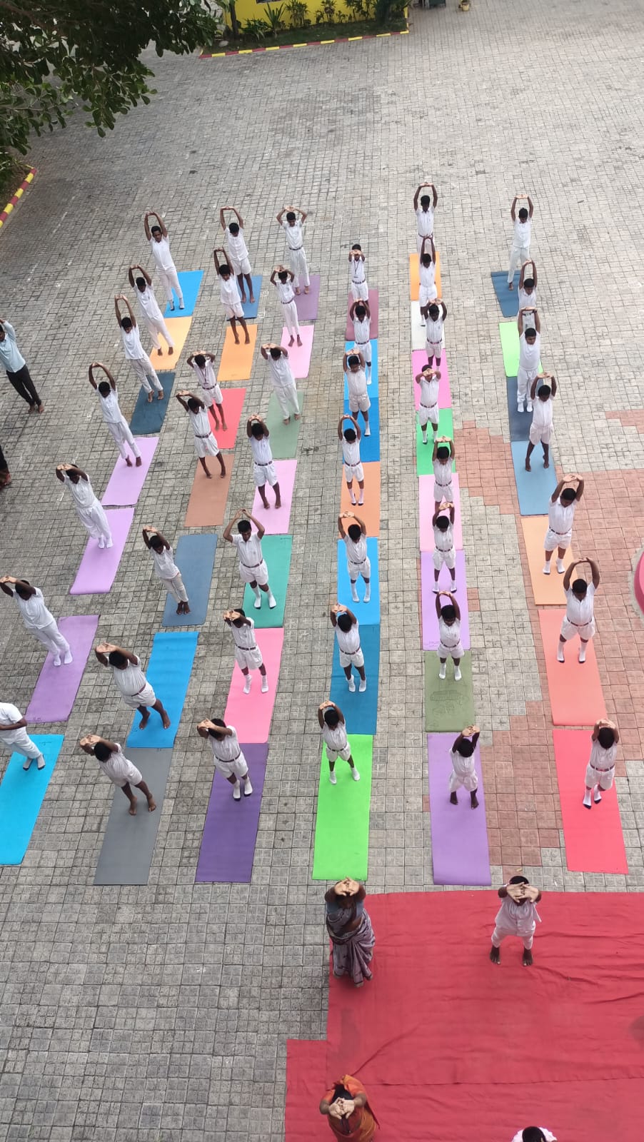 Yoga Day Photo 6