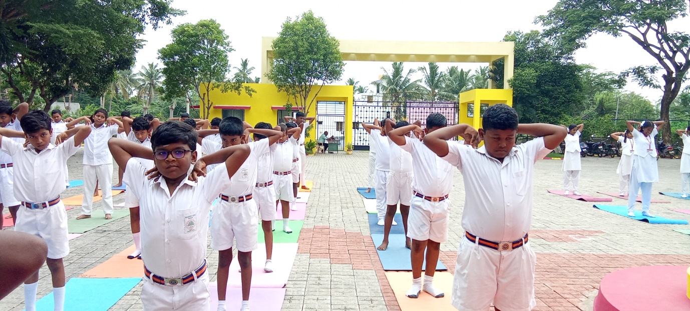 Yoga Day Photo 12