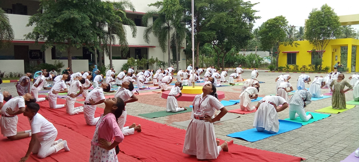 Yoga Day Photo 17