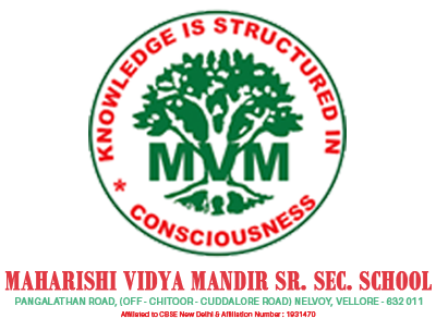 MVM School